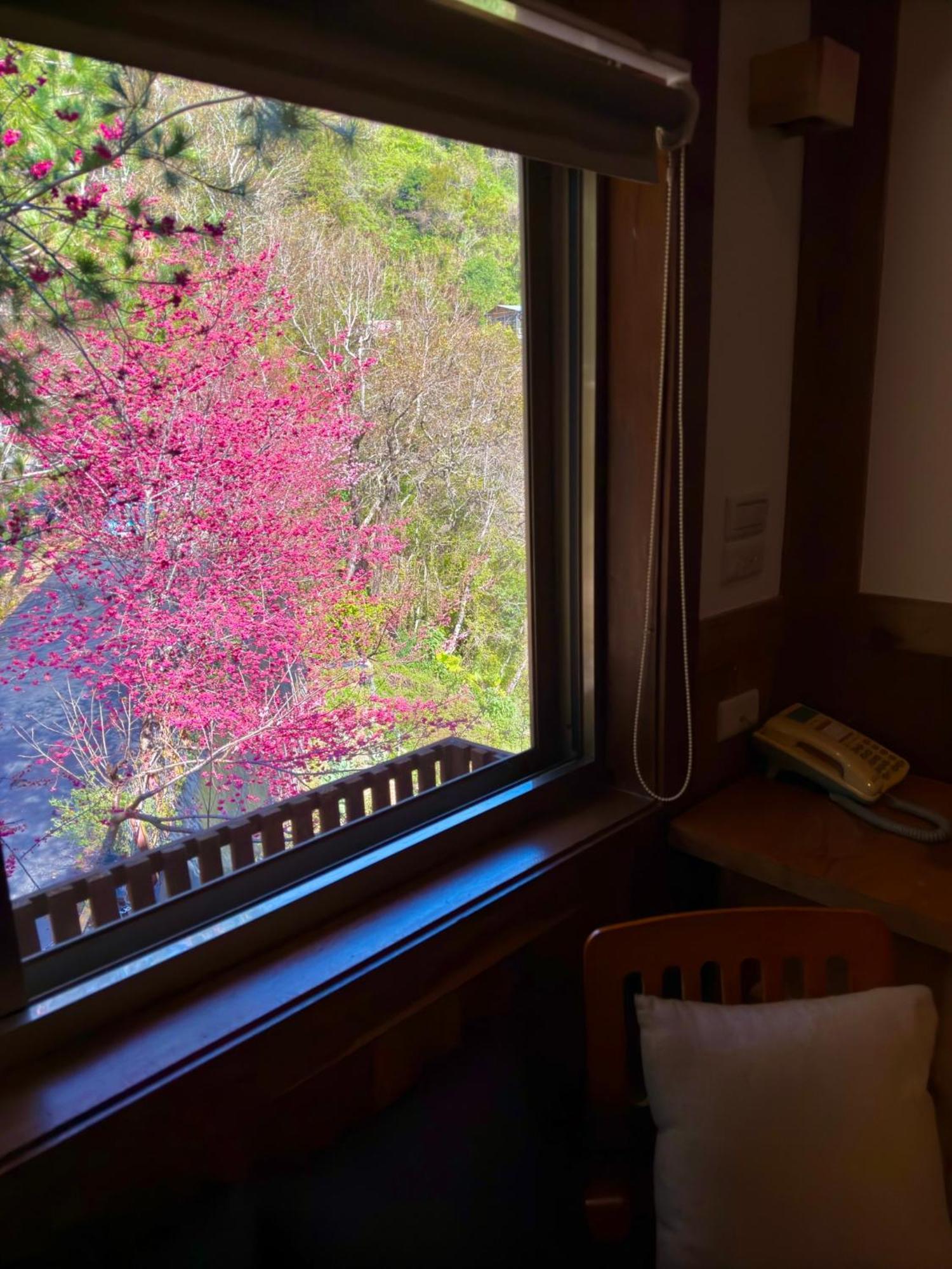 Tian Hsiang Tea B&B Renai Zimmer foto
